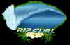 RCe2TEAHUPO'O.jpg (83529 bytes)